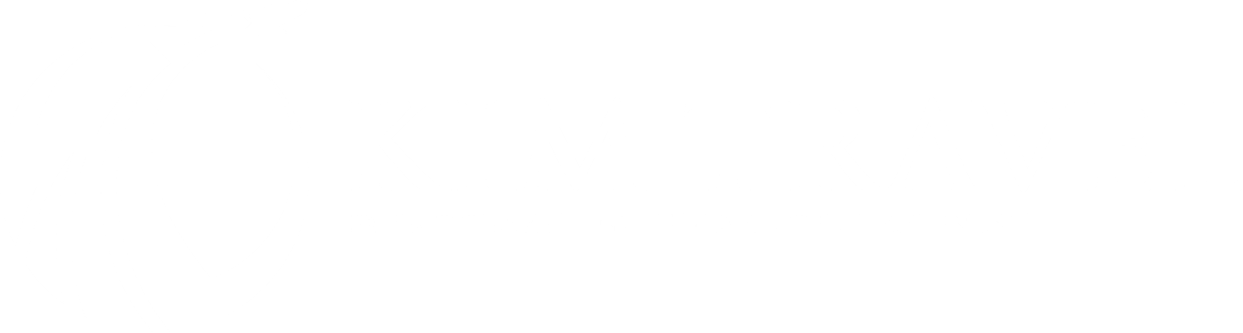 KIM TRAVEL